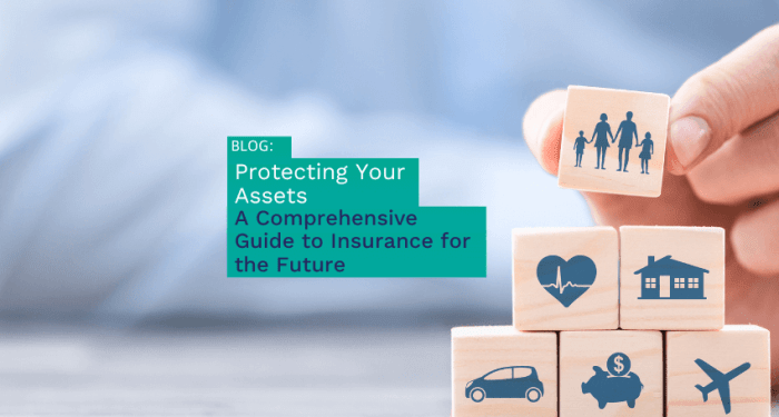 Protecting Your Assets: A Comprehensive Guide to Insurance for the ...